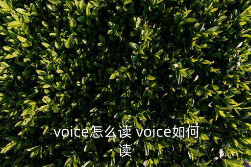 voice,第三人稱:你很漂亮嗎?