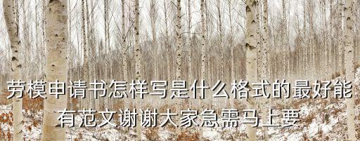 勞模申請書怎樣寫是什么格式的最好能有范文謝謝大家急需馬上要
