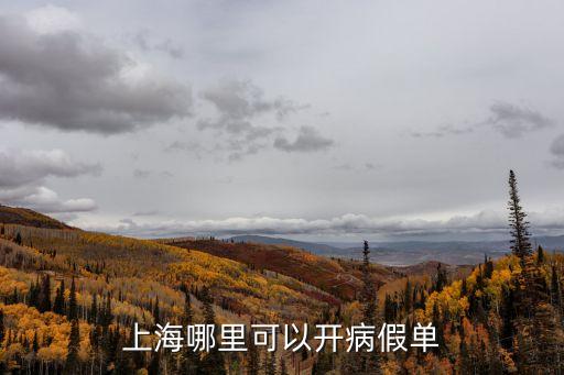 上海哪里可以開病假單