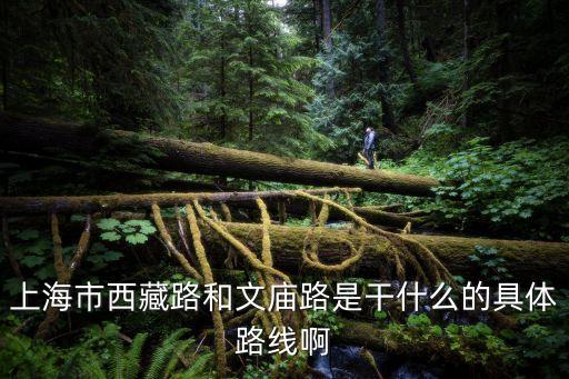 上海市西藏路和文廟路是干什么的具體路線啊