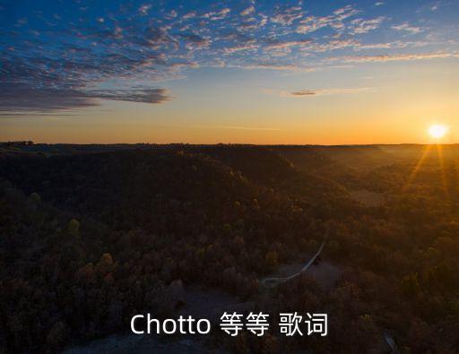 Chotto等等，一首日文歌還是一首韓文歌旋律跟王菀之的chotto等等旋律一樣的歌曲