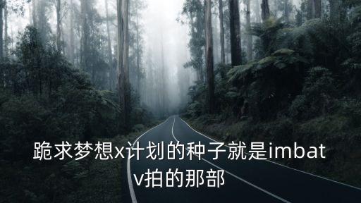 夢想x計劃，跪求夢想x計劃的種子就是imbatv拍的那部