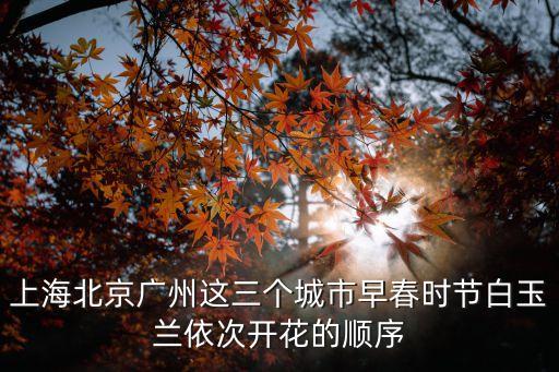 上海市市花白玉蘭的花期，白玉蘭的花期是幾天