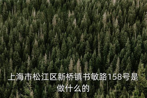 上海市松江區新橋鎮書敏路158號是做什么的