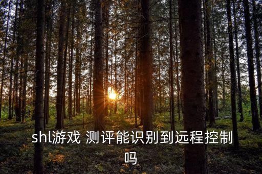  shl游戲 測評能識別到遠程控制嗎