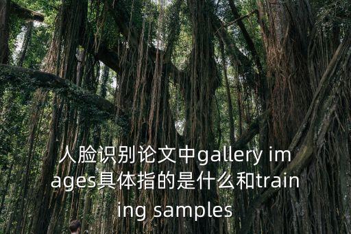 人臉識(shí)別論文，人臉識(shí)別論文中g(shù)allery images具體指的是什么和training samples