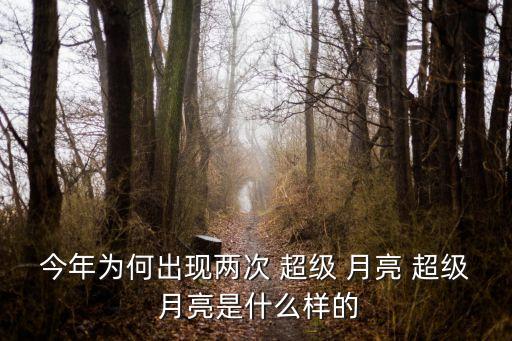 超級月亮是什么,最后一個月亮!本地夜空出現超級月亮