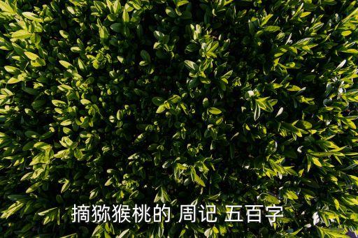 周記五百字,第二集:走遍全島只要你愿意就可以回來