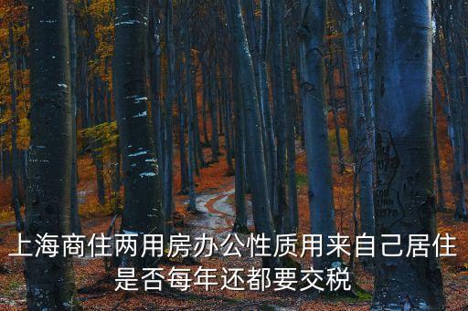 上海商住兩用房辦公性質用來自己居住是否每年還都要交稅