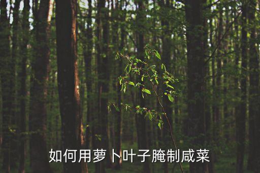 如何用蘿卜葉子腌制咸菜