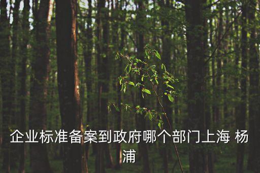 企業(yè)標準備案到政府哪個部門上海 楊浦