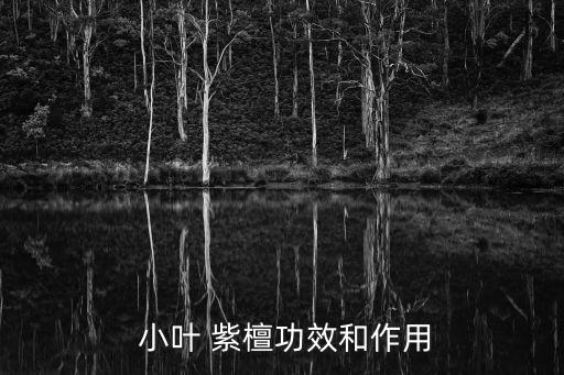 小葉紫檀的功效與作用,紫檀手串和面包屑對腸胃疾病有舒緩作用