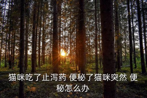 突然便秘,不要約束排便!合理膳食纖維補充是功能型首選便秘