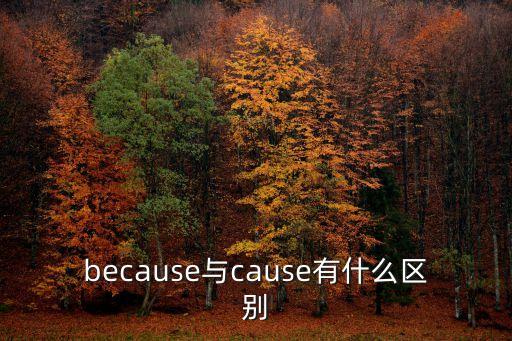 because與cause有什么區別