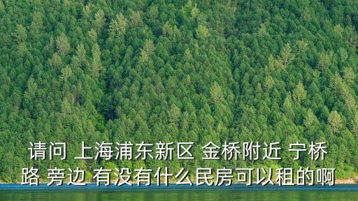 上海市金橋路租房，上海浦東新區金橋那的房租怎樣房源多么