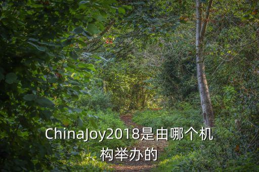 ChinaJoy2018是由哪個機構(gòu)舉辦的