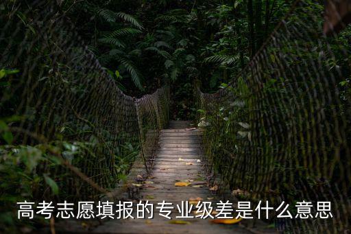 高考志愿填報(bào)的專業(yè)級(jí)差是什么意思