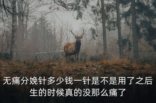 無痛分娩針多少錢一針是不是用了之后生的時候真的沒那么痛了