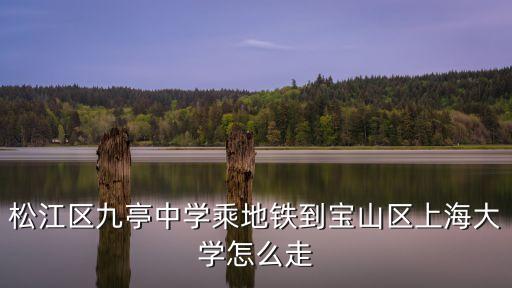 松江區(qū)九亭中學(xué)乘地鐵到寶山區(qū)上海大學(xué)怎么走