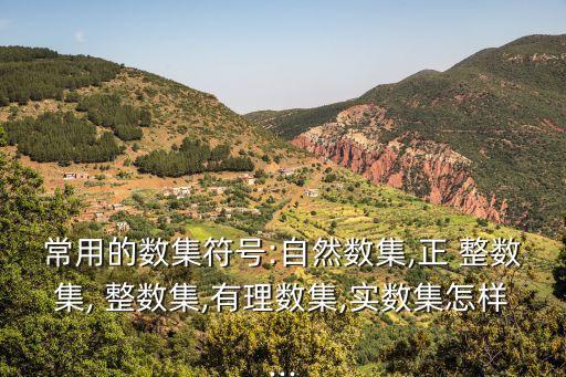 正整數(shù)集,所有非負整數(shù)的集合稱為自然數(shù)集
