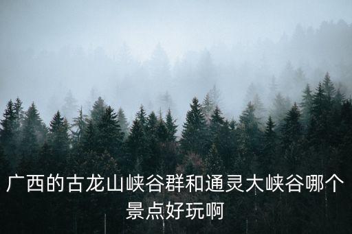 廣西的古龍山峽谷群和通靈大峽谷哪個景點好玩啊