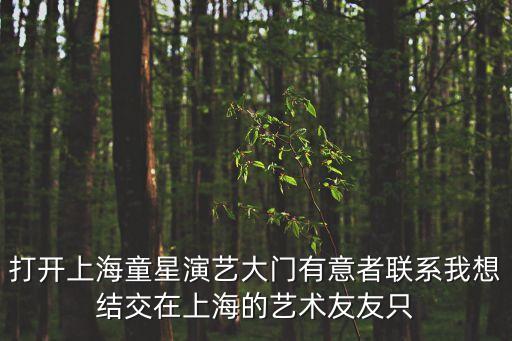 上海市中外藝術交流，打開上海童星演藝大門有意者聯系我想結交在上海的藝術友友只
