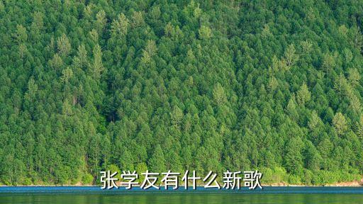張學友新歌，張學友有什么新歌