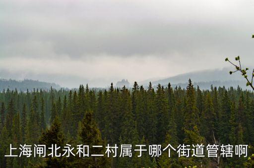 上海閘北永和二村屬于哪個(gè)街道管轄啊