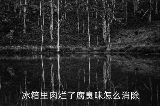 冰箱除臭劑,冰箱except臭劑可去除肉爛味