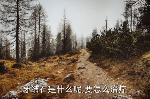 牙石是什么,牙結石怎么形成?一般牙醫洗牙看不到!