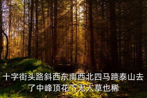 十字街頭路斜西東南西北四馬蹄泰山去了中峰頂花下無人草也稀