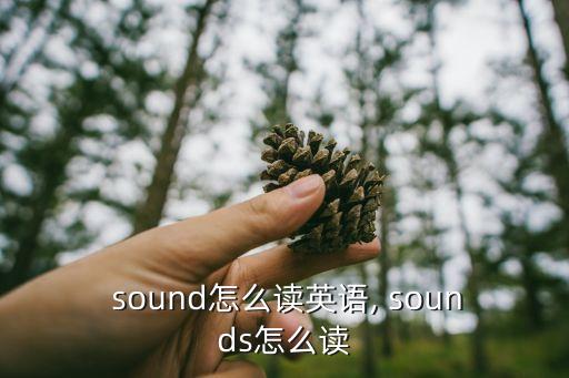 sound怎么讀,第二集:第一集:聲音是什么?