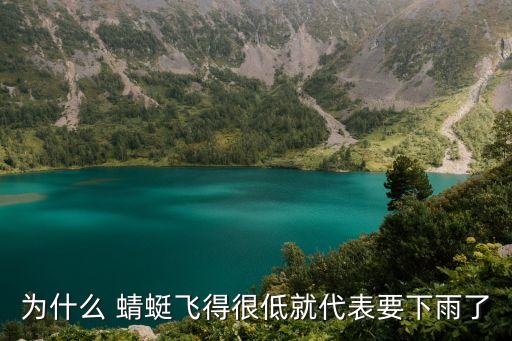 蜻蜓低飛,雨天是蜻蜓捕捉獵物好時機所以蜻蜓低飛