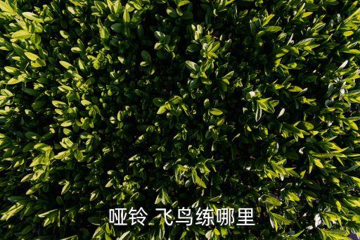 上斜啞鈴飛鳥,怎么練啞鈴飛鳥練胸?看這里!