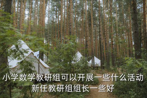 小學數學教研組可以開展一些什么活動新任教研組組長一些好