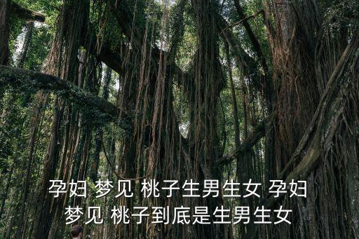 孕婦夢見桃子,孕婦夢見吃桃子恭喜你懷上兒子
