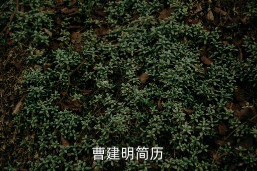 曹建明簡歷
