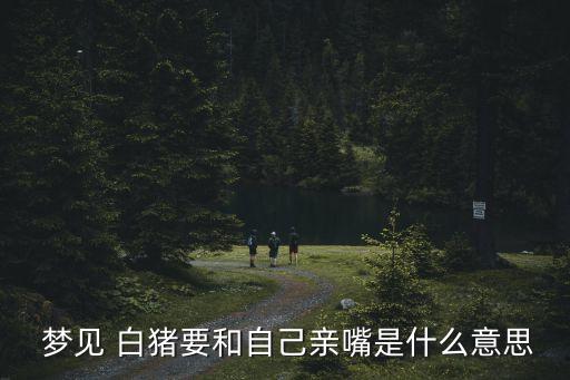 夢見白豬,本命年的人夢見多小人白豬意思是夏秋兩季得財