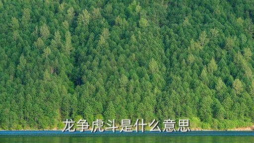 龍爭虎斗，龍爭虎斗的意思