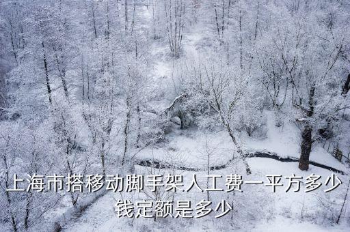 上海市定額人工單價(jià)是多少，親 早上好 我想請問您 2013 上海建筑工程水電安裝定額人工費(fèi)是多少