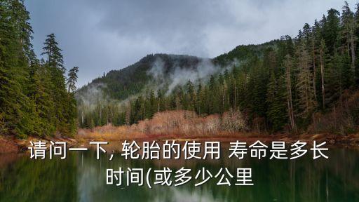 請問一下, 輪胎的使用 壽命是多長時間(或多少公里