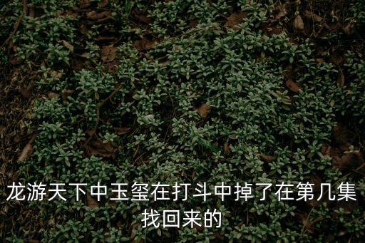 龍游天下中玉璽在打斗中掉了在第幾集找回來的