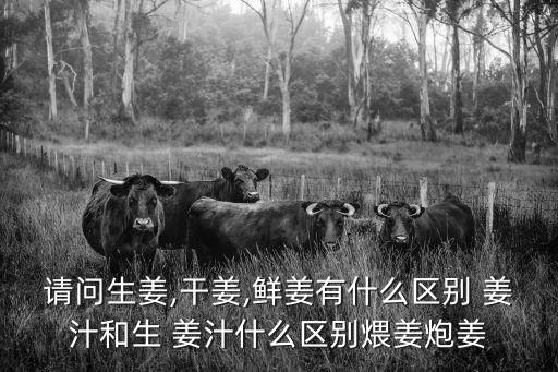 請問生姜,干姜,鮮姜有什么區別 姜汁和生 姜汁什么區別煨姜炮姜