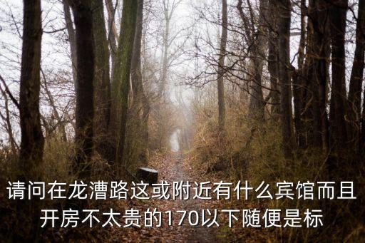 請問在龍漕路這或附近有什么賓館而且開房不太貴的170以下隨便是標