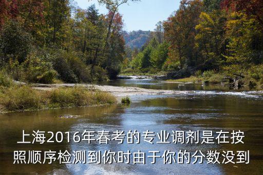 2016上海市政調劑，考研調劑今年市政工程專碩只考了308按照往年的情況可以往哪