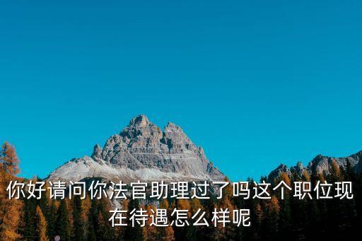 上海市法院法官助理吧，你好請問你法官助理過了嗎這個(gè)職位現(xiàn)在待遇怎么樣呢