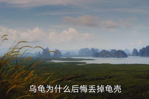 沒有殼的烏龜,烏龜脫殼后露出內部肌肉組織
