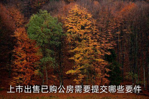 上海市出售公有住房暫行辦法，上市出售已購公房需要提交哪些要件