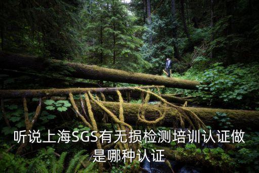 聽說上海SGS有無損檢測培訓認證做是哪種認證