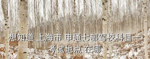 上海市申通駕校淀河路，想知道 上海市 申通七部駕校科目一考試地點 在哪